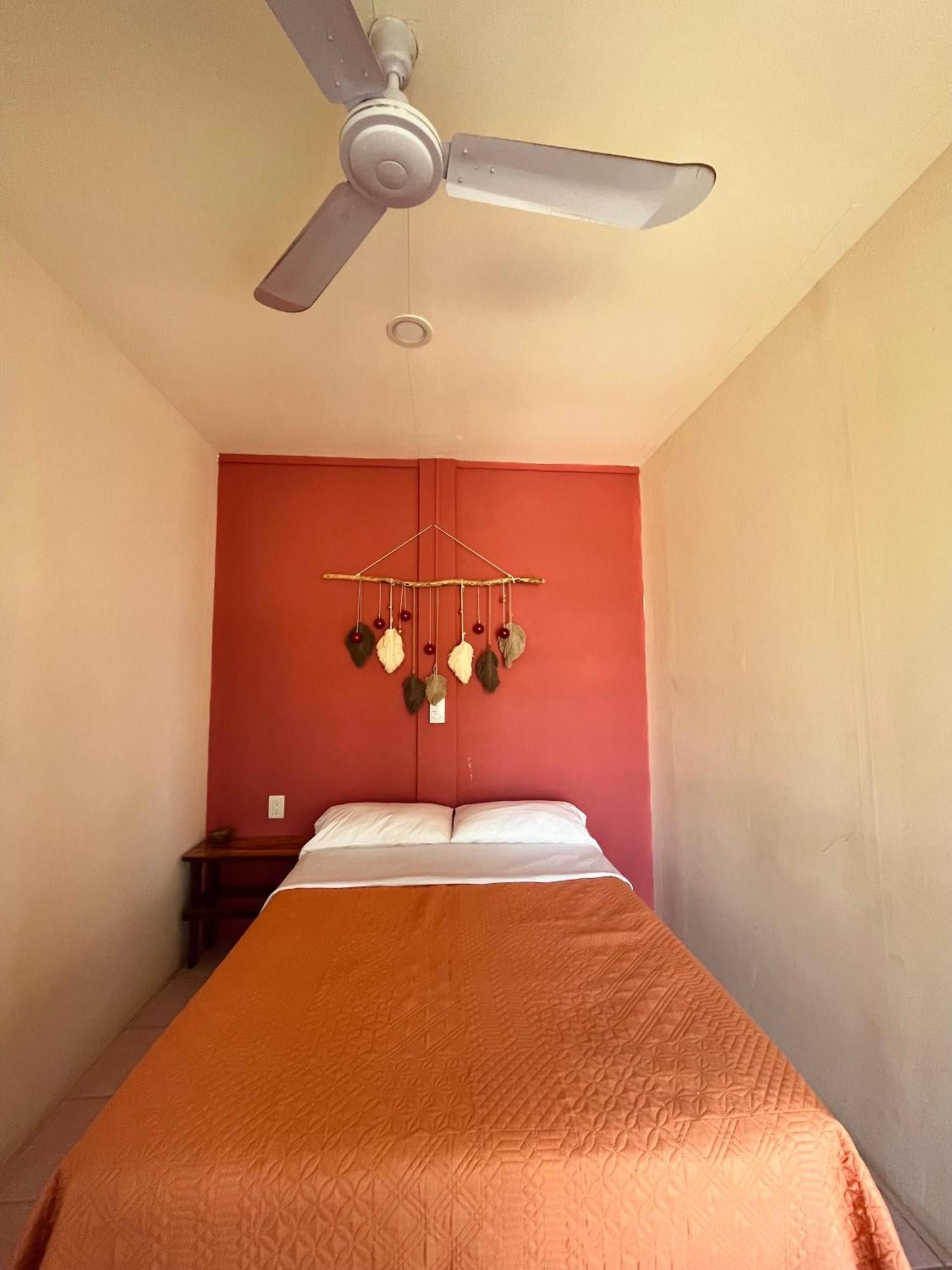 Coco Viejo Posada ซาน เปโดร โปชุทลา ภายนอก รูปภาพ